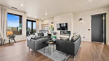 TV, fireplace