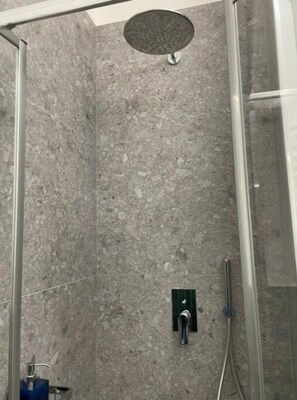 Shower, hair dryer, bidet, towels