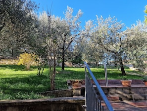 Property grounds - Habitat - Vacation House in Perugia (Perugia)
