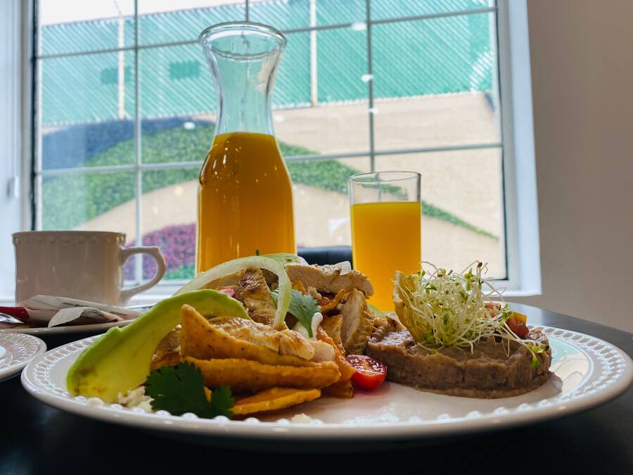 A breakfast plate with a glass of orange juice, a bottle of orange juice, and a cup on a table by a window with a view of a garden.
