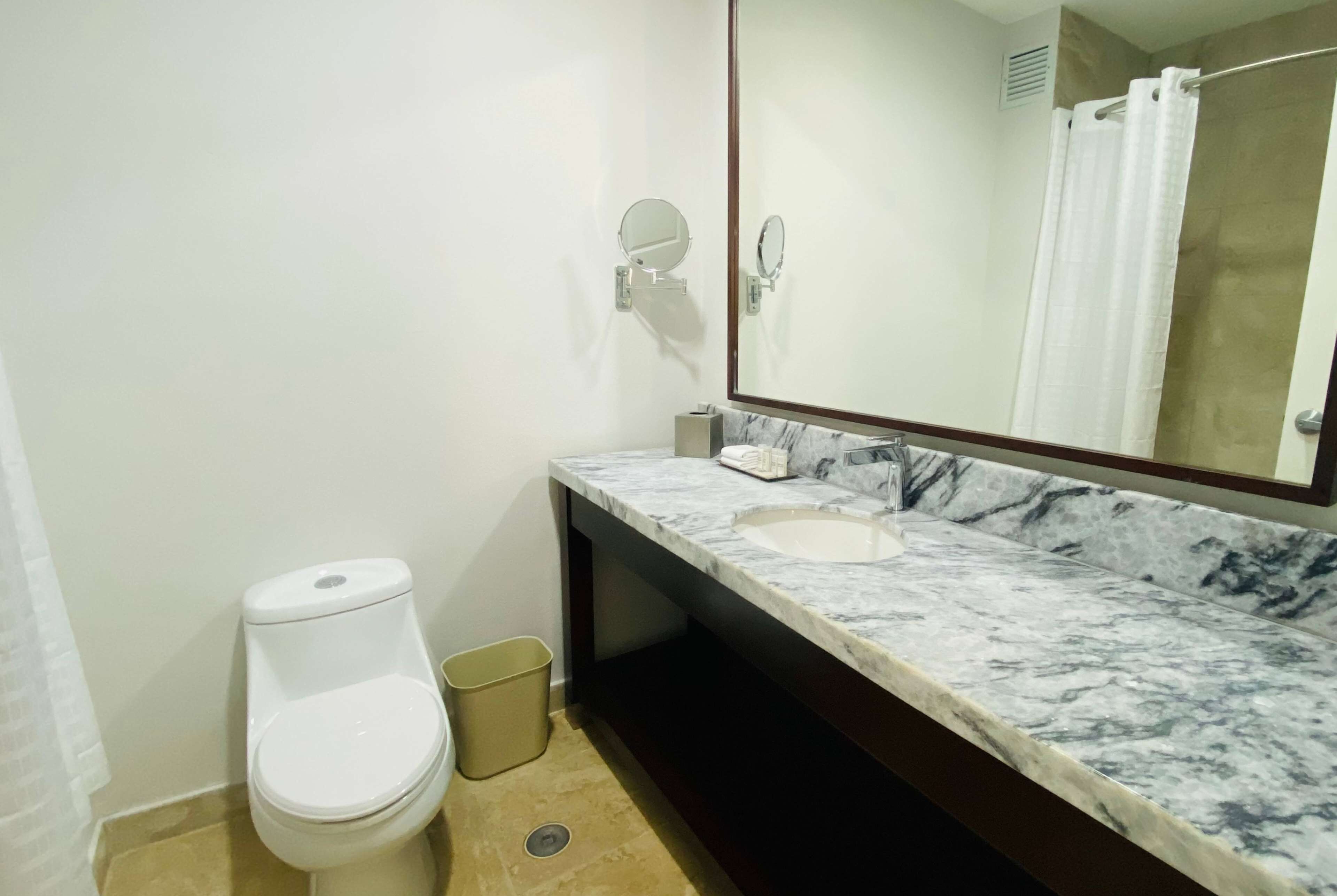 A bathroom with a toilet, a sink, a mirror, and a shower curtain.