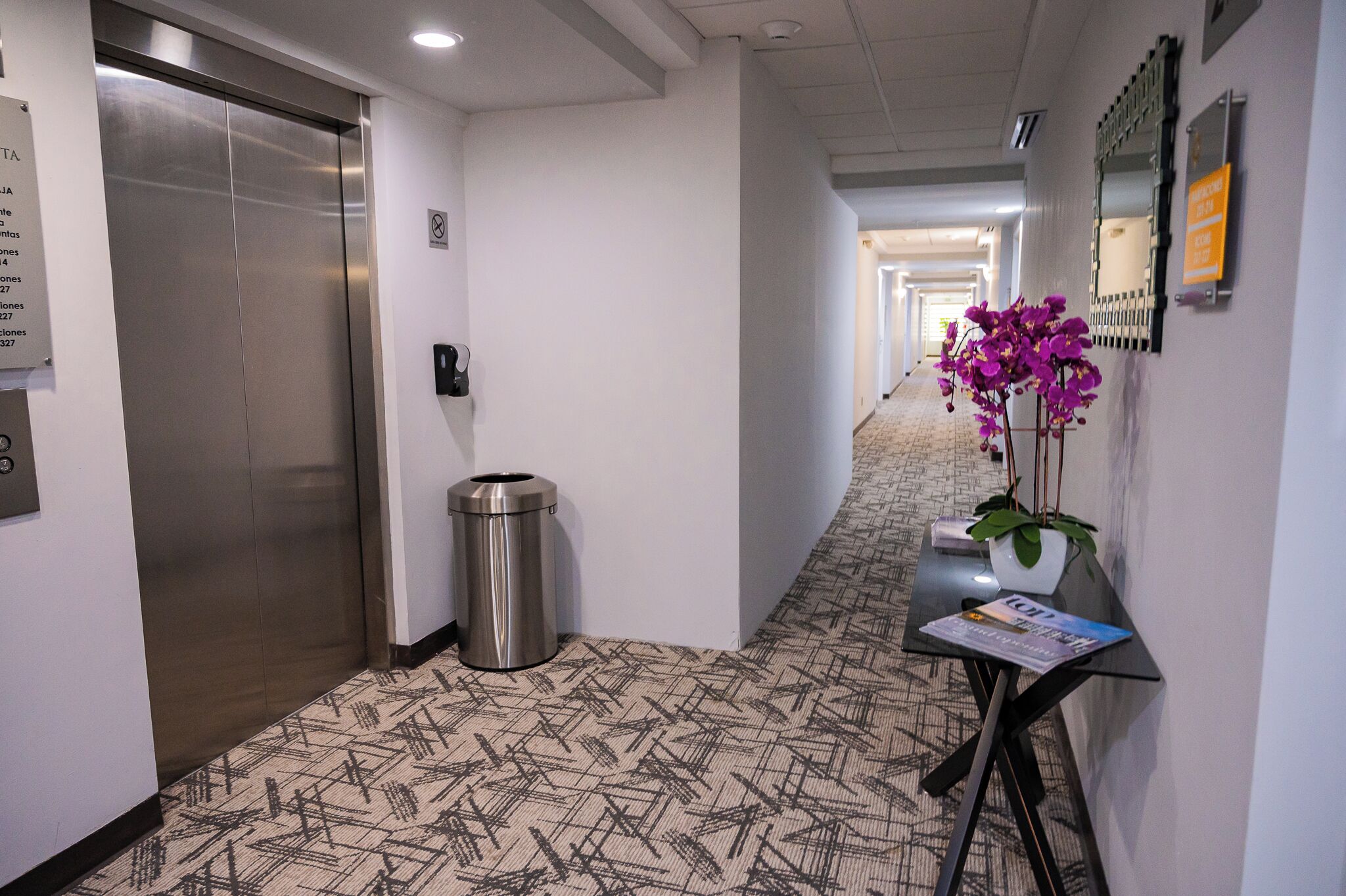 A hotel hallway with an elevator, a trash bin, a potted plant, and a magazine on a table.