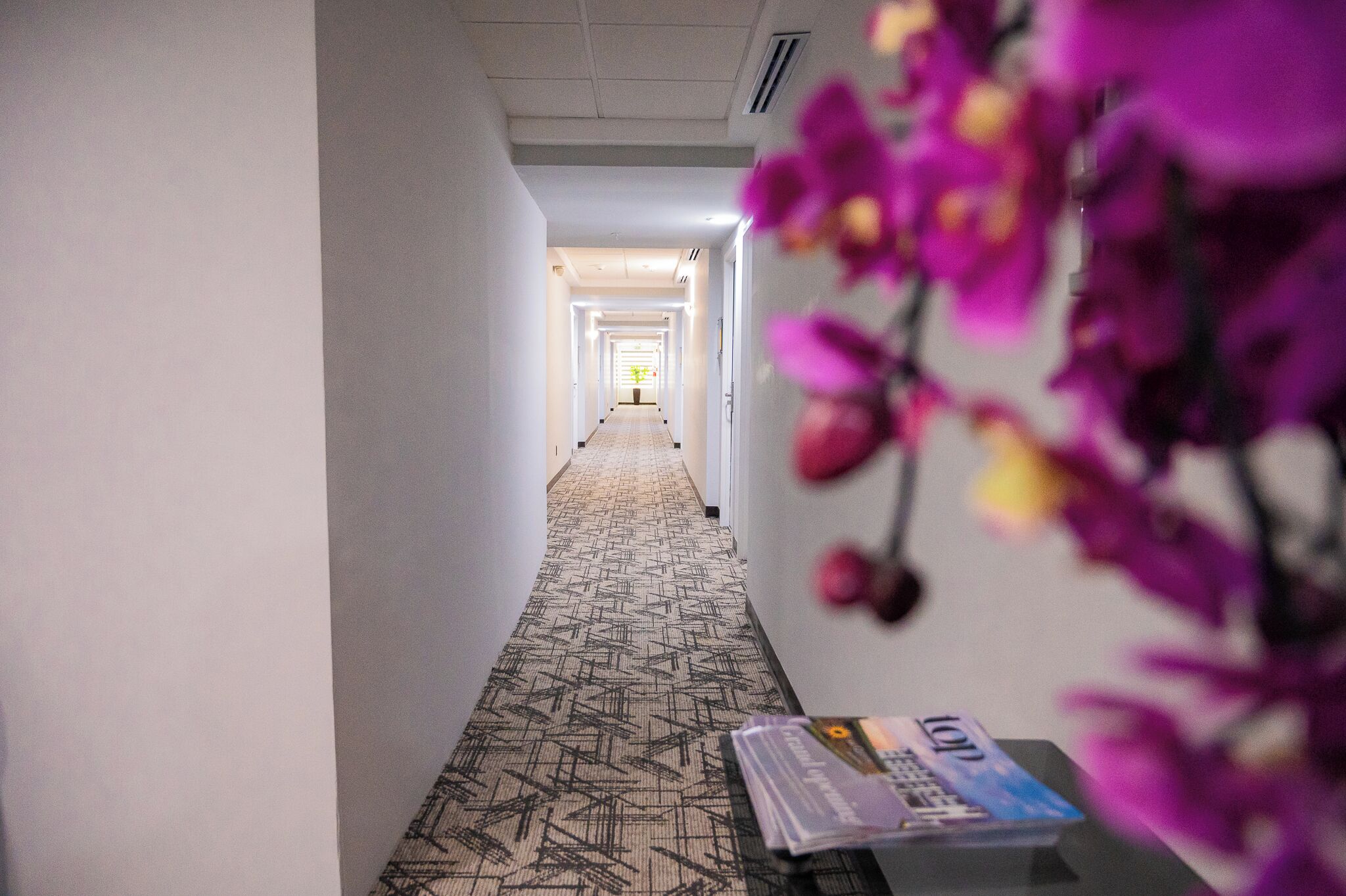 Un pasillo de hotel con alfombra estampada, un mostrador de recepción y una puerta al final.
