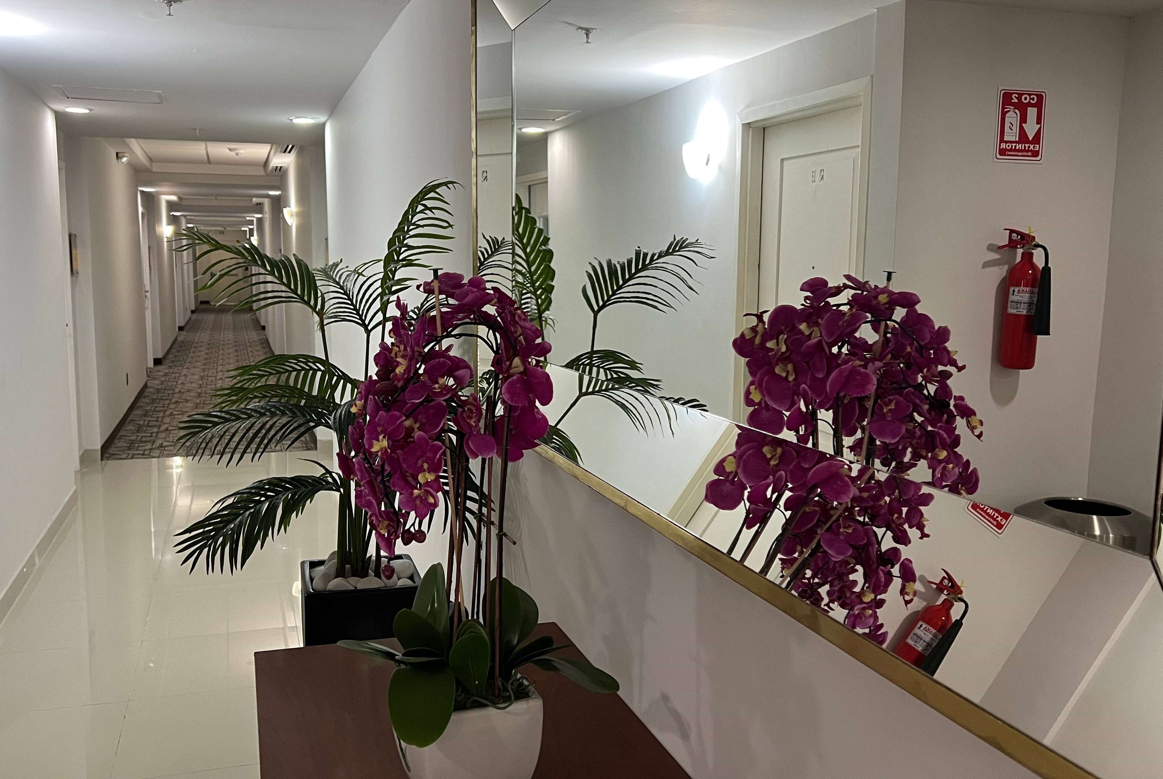 A hotel corridor with a reflective wall, potted plants, and a fire extinguisher.