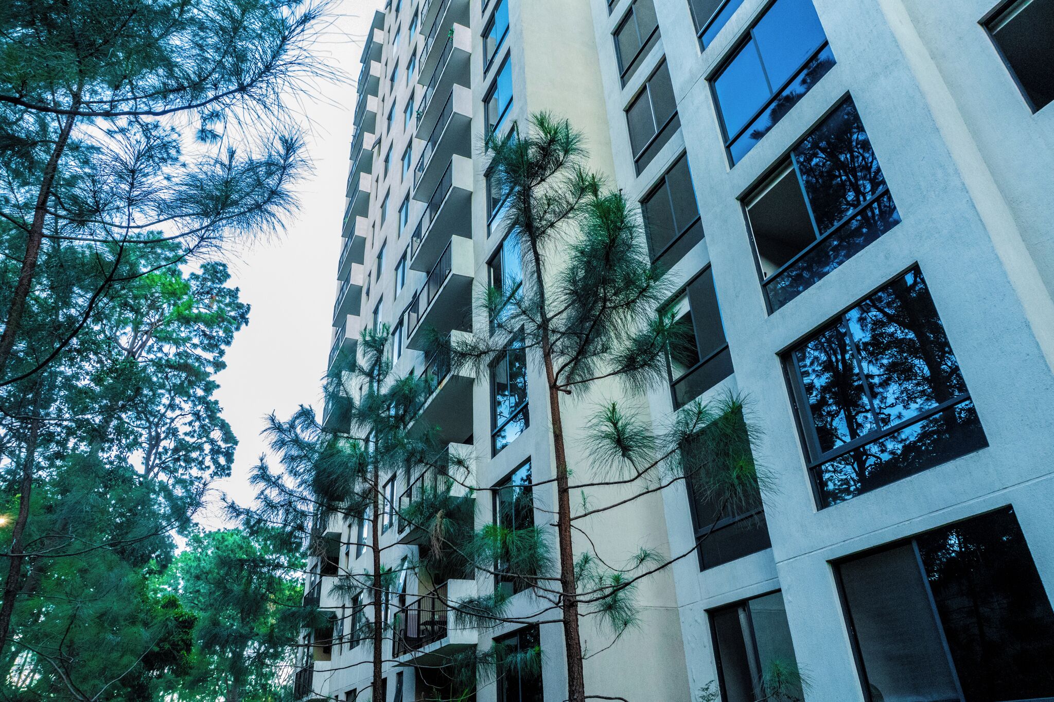 Un edificio de varios pisos con balcones, rodeado de árboles.
