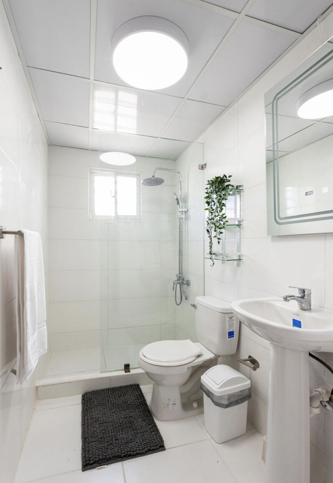 A modern bathroom with a glass shower enclosure, a toilet, a sink, and a mirror.