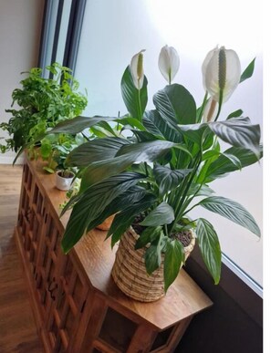 Detalj interiör