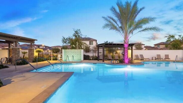A swimming pool with lounge chairs and a palm tree.