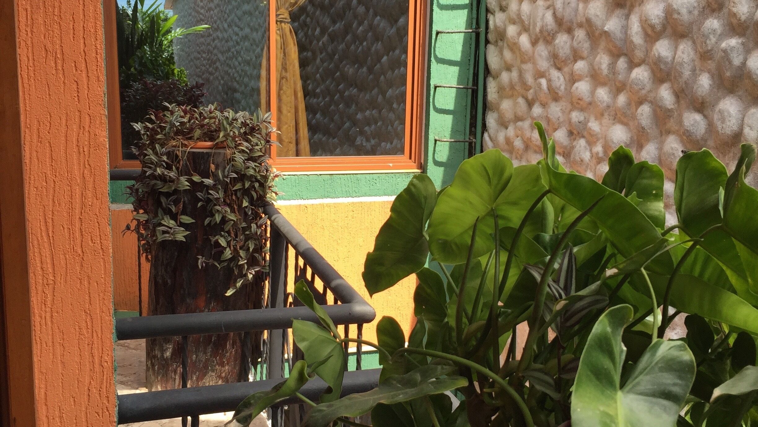 Een balkon met een hekwerk, een raam met een gestructureerd zonnescherm, en verschillende groene planten.