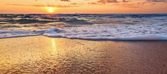 Walk Everywhere! 1-Bedroom Gem in Downtown Hub