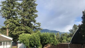 A backyard with a large tree, a wooden fence, and a small shed.