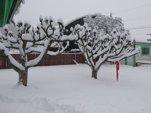 Property grounds - The Station - Your ideal Glacier National Park basecamp! (Columbia Falls)