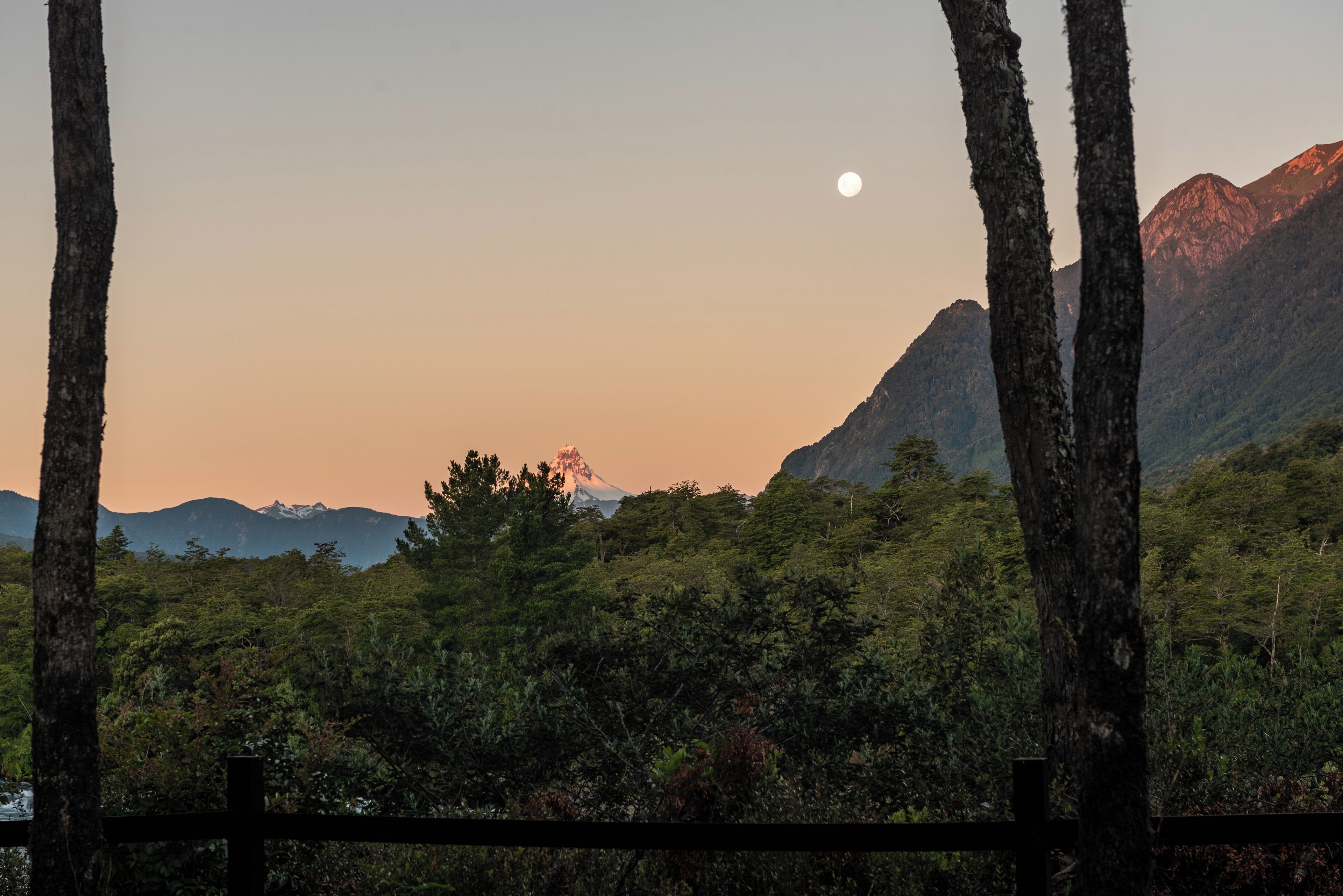 Un paysage de montagne avec une lune visible, une forêt dense et une clôture en bois.
