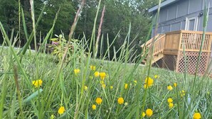 A grassy area with yellow flowers and a wooden deck with a lattice railing. - Meadow Farm-View Getaway (Sparta)