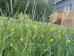 Property grounds - Meadow Farm-View Getaway (Sparta)