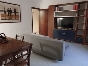 Flachbildfernseher, BĂŒcher