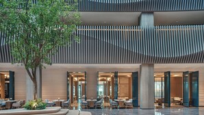 Un hall d’entrée spacieux avec des gradins, un arbre central et un mobilier moderne.
