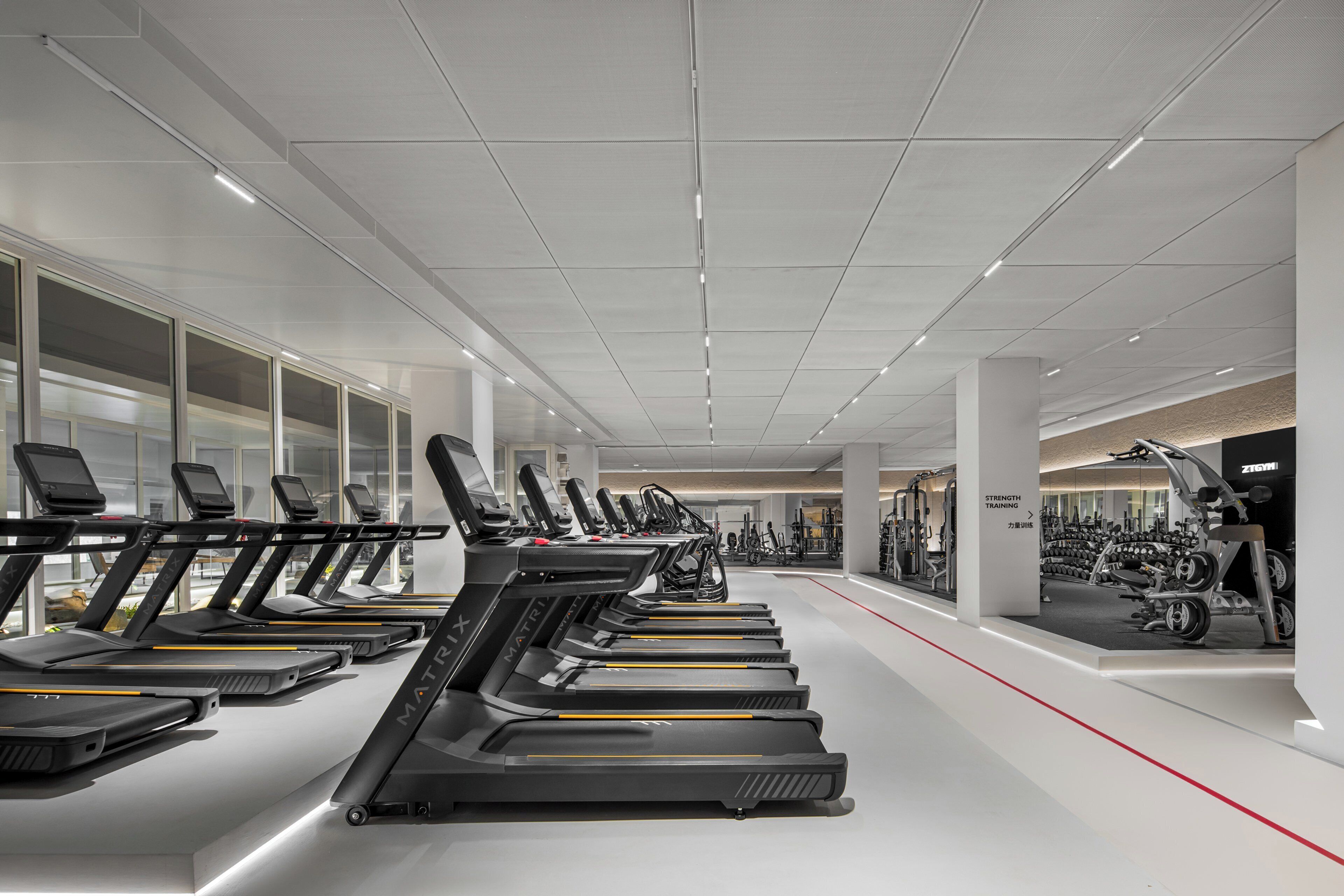 A modern gym with multiple treadmills, weight machines, and a clean, spacious layout.