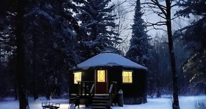 Off grid yurt in birding area, access to State Rec. trail and Whiteface river