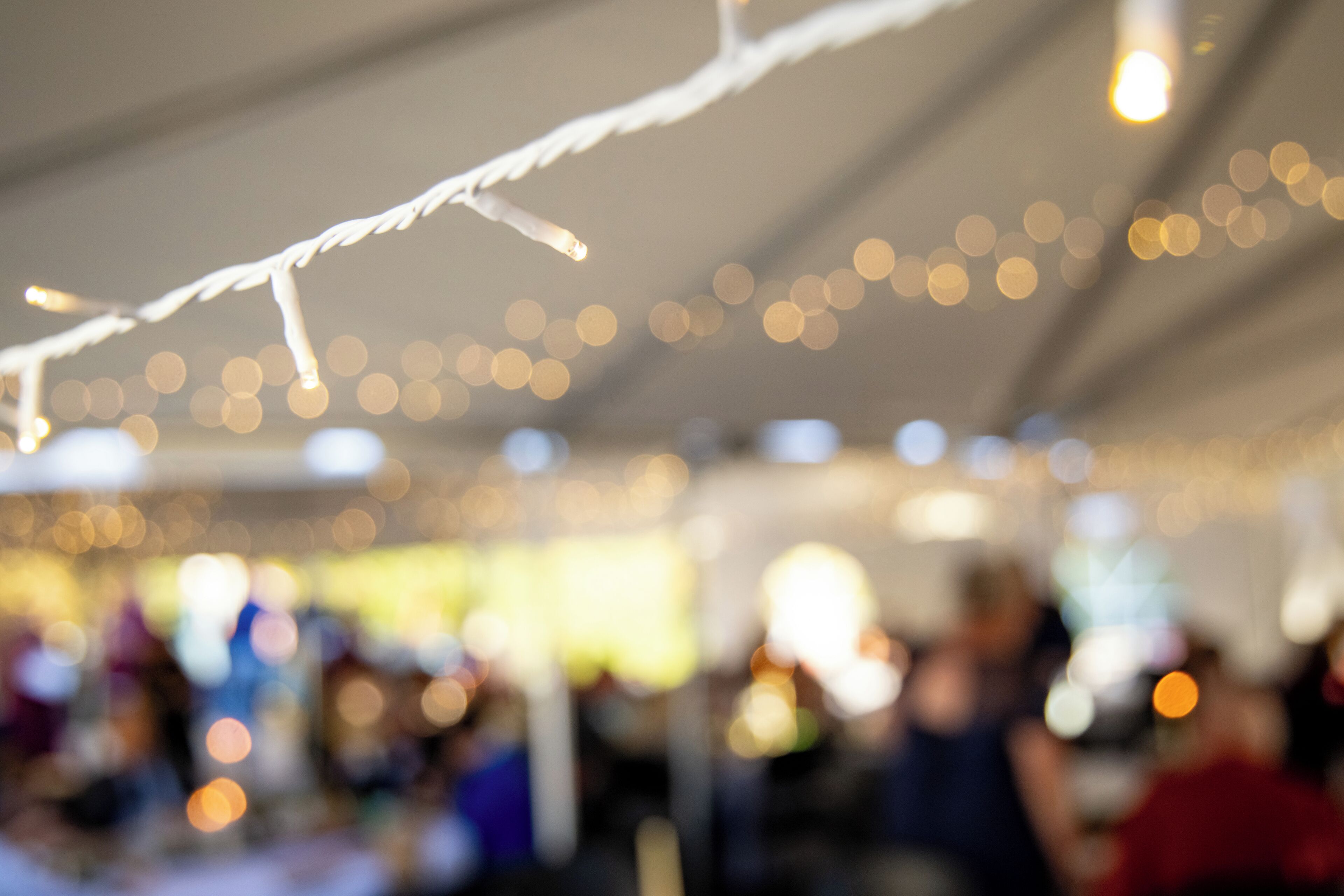 A blurred indoor setting with string lights and a tent-like structure.