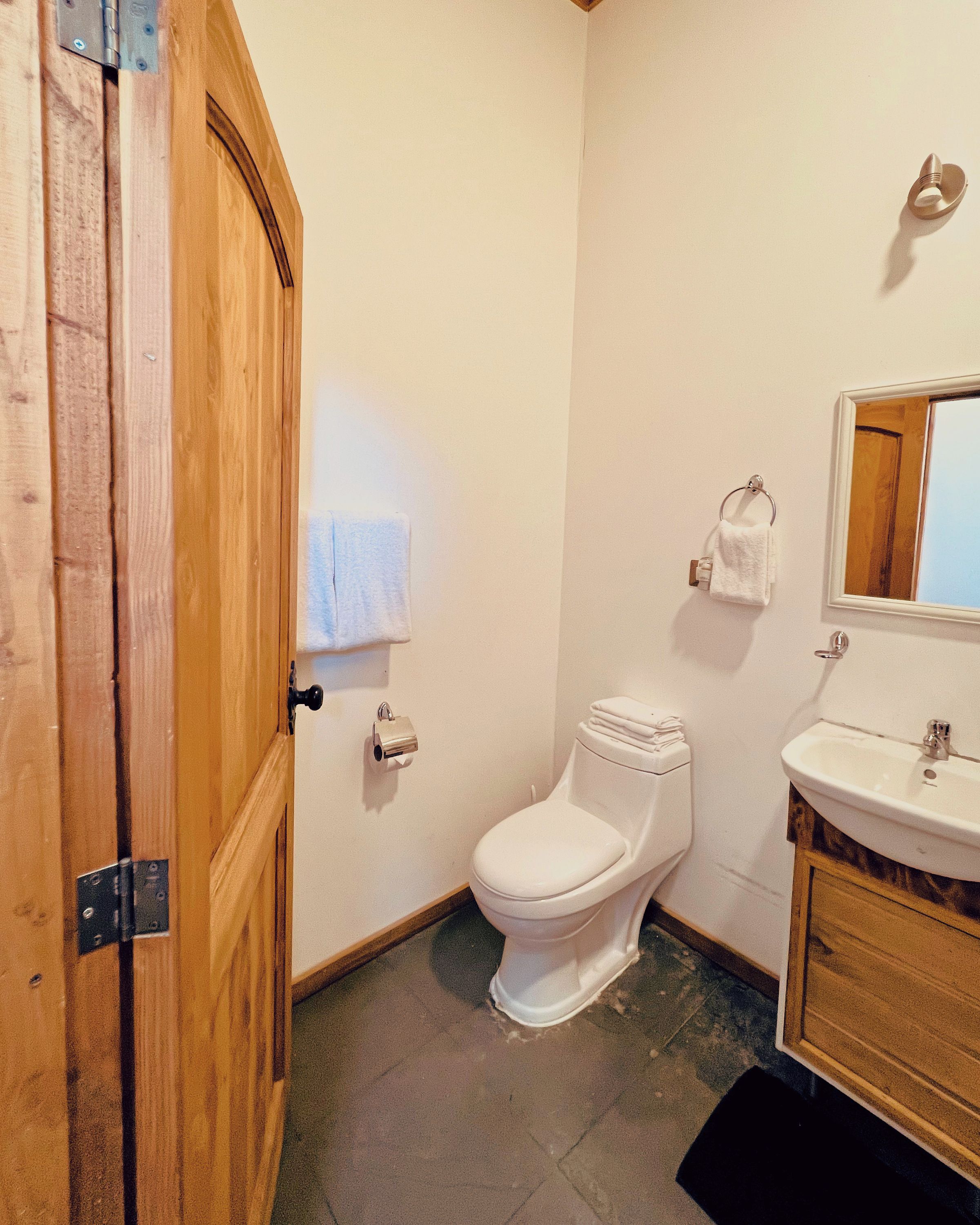 A bathroom with a wooden door, a toilet, a sink, and a mirror.