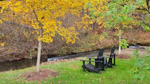 Un banc au bord d’un ruisseau, dans une zone boisée où les feuilles sont jaunes.