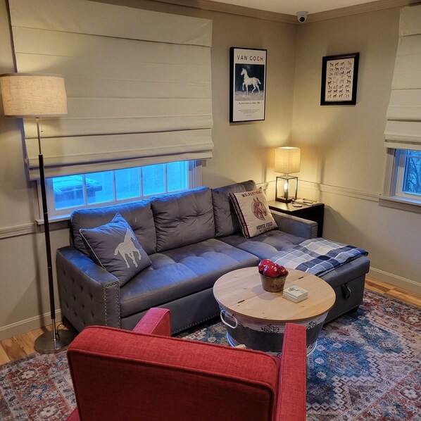 Smart TV, books
