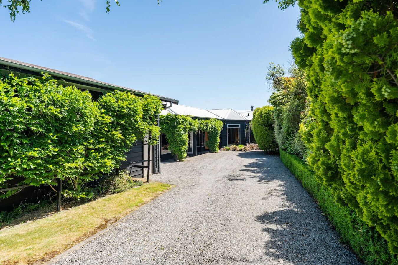 A gravel driveway leading to a building with a metal roof, surrounded by lush green hedges and trees.