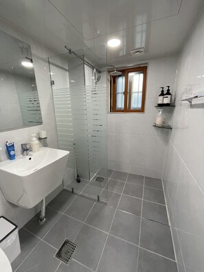 Hair dryer, towels, soap, toilet paper