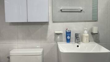 Hair dryer, towels, soap, toilet paper
