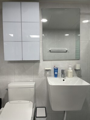 Hair dryer, towels, soap, toilet paper
