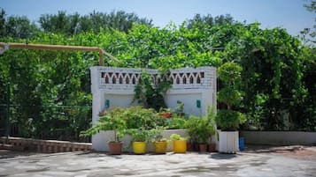 Une cour avec un bâtiment blanc, des plantes en pot et une pergola.
