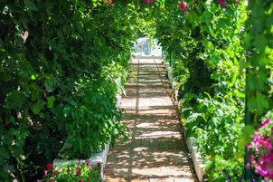Un sendero bordeado de abundante vegetación y plantas florecientes, que conduce a una estructura distante.