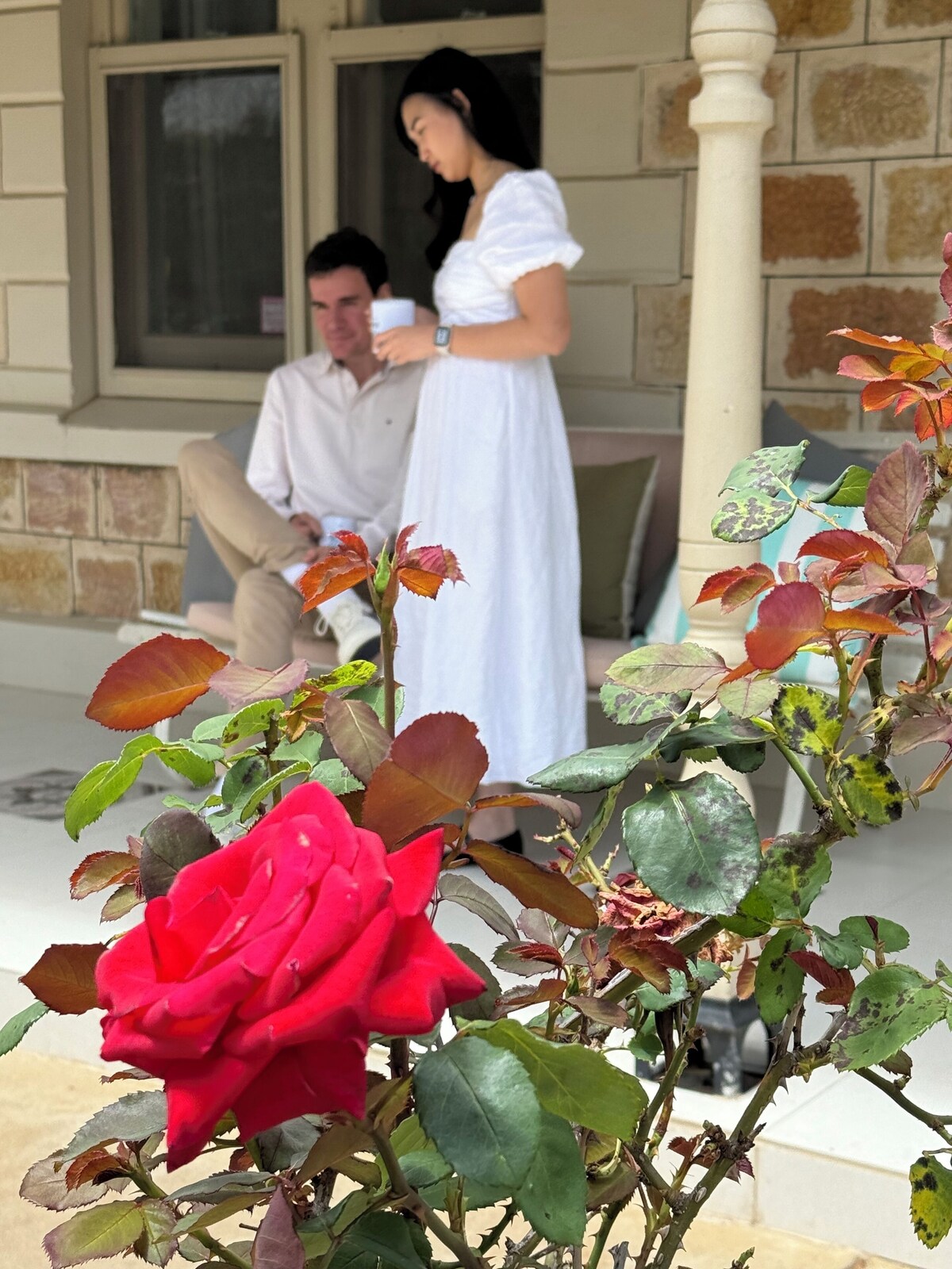 Bild für Gastgeberprofil