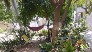 A garden with various plants and a hammock. - 7 min. from the most beautiful beach in Colombia, El Rodadero, Santa Marta, Colombia. (SANTA MARTA)