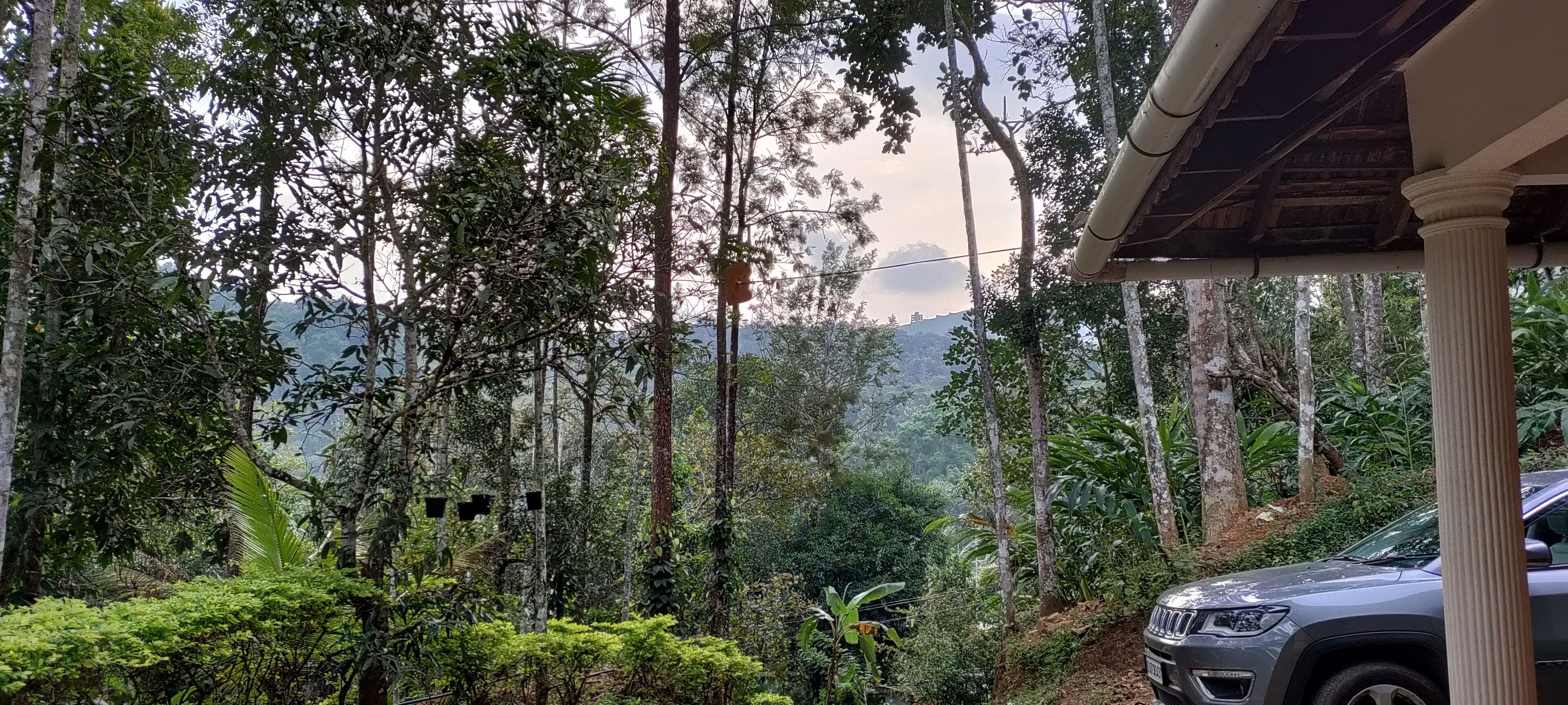 Jardines del alojamiento