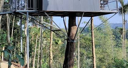 Coffee Camp Home Stay