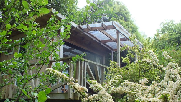 Una cabaña de madera con techo de vidrio, rodeada de exuberante follaje y árboles en flor.
