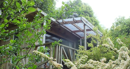 Lovely cabin in the trees, Sawyers Bay, Dunedin.