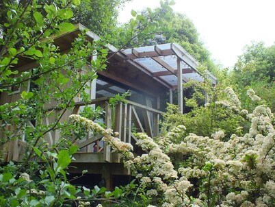 Lovely cabin in the trees, Sawyers Bay, Dunedin.
