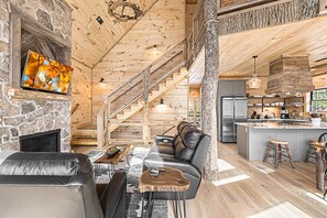 Télévision, cheminée, jeux vidéo