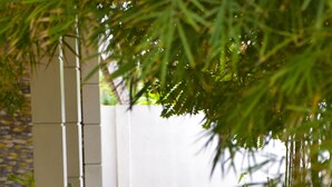 Un sentier bordé de plantes en pot et d’un mur blanc, composé de planches de bois et de gravier.