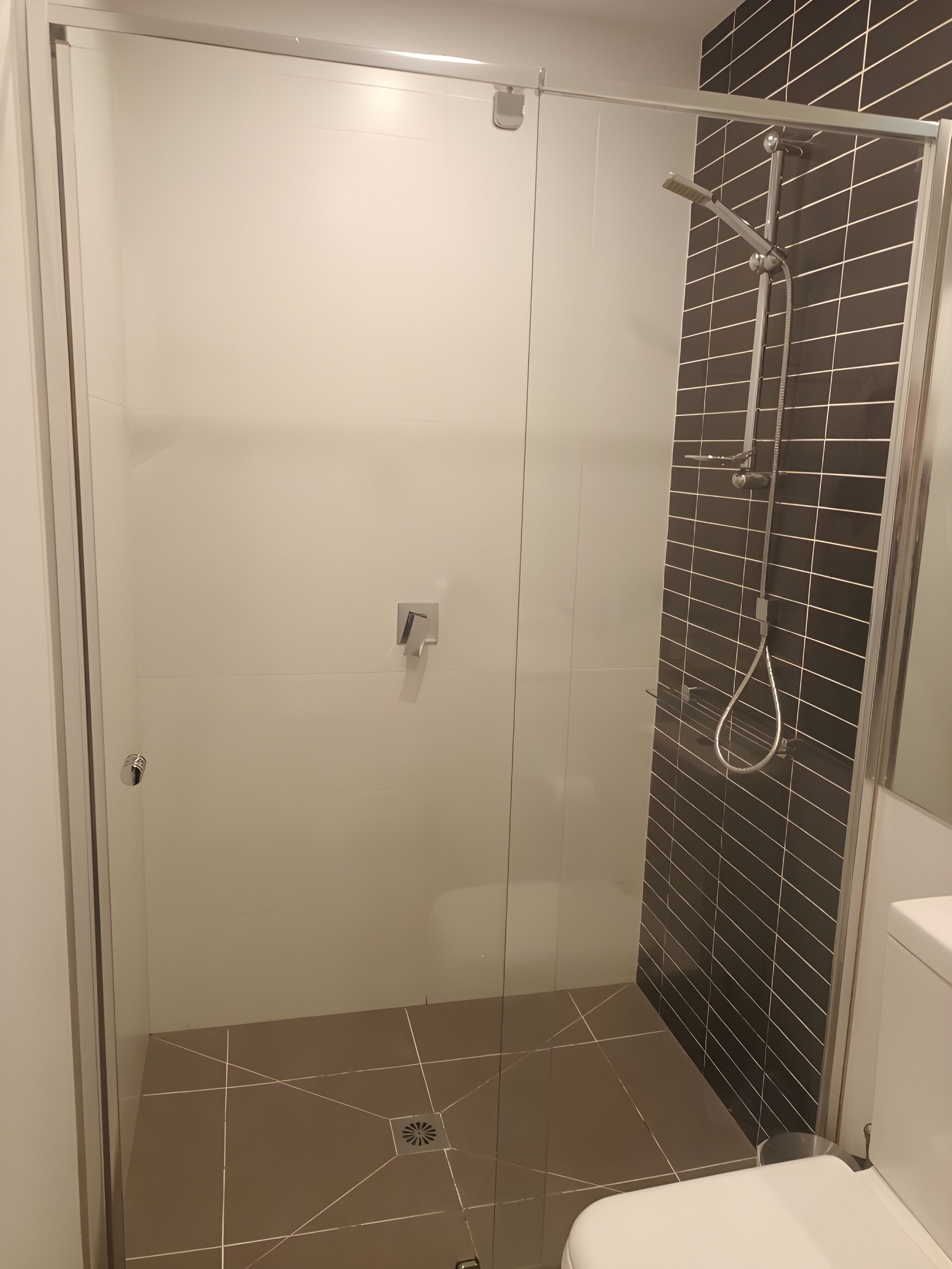 A glass-enclosed shower with a handheld showerhead, a white toilet, and a tiled floor with a geometric pattern.