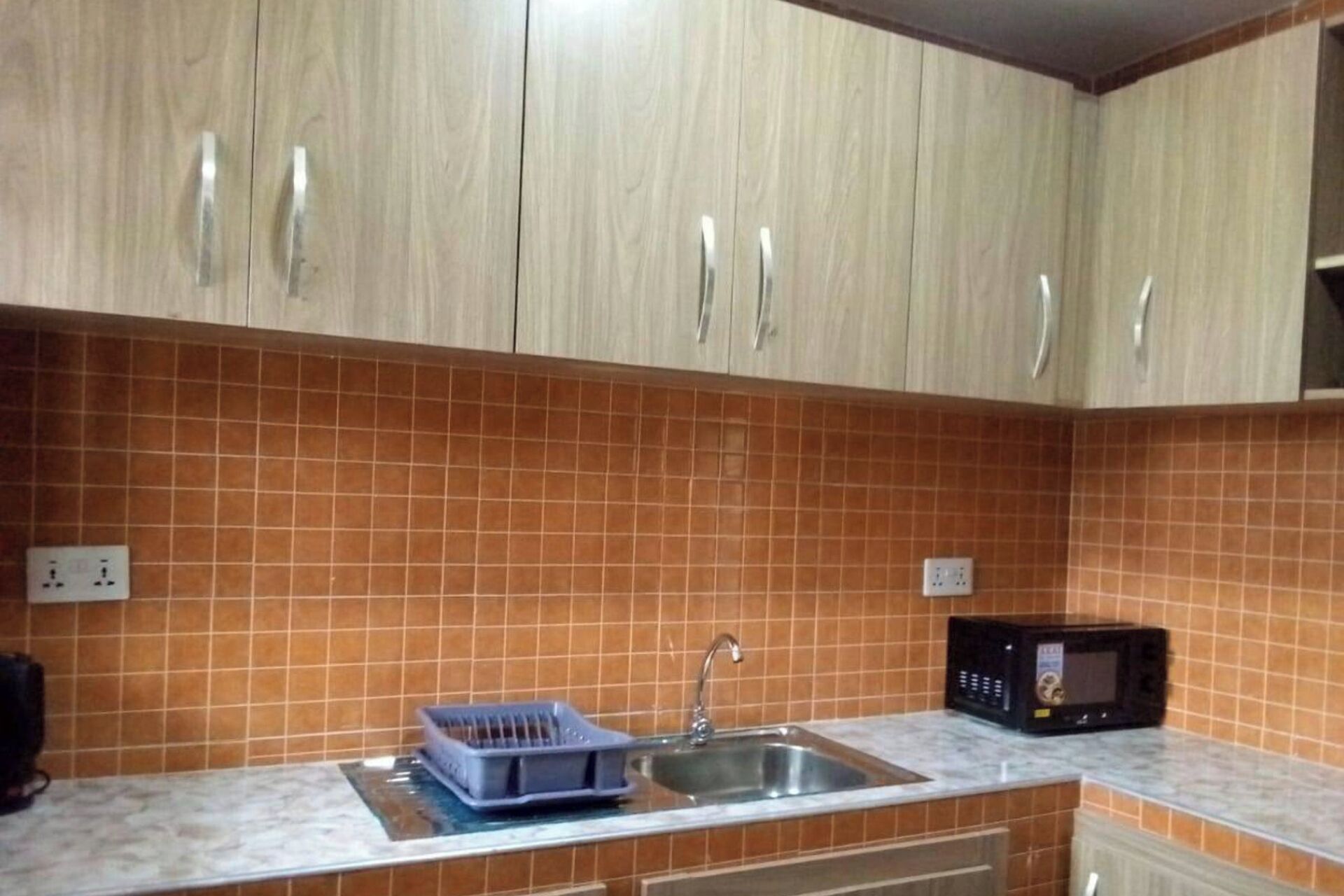 Cozinha com armários de madeira, painel de azulejos, pia, escorredor de louça e micro-ondas.