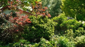A lush garden with a variety of plants and trees, a house with a red roof, and a wooden fence in the background.