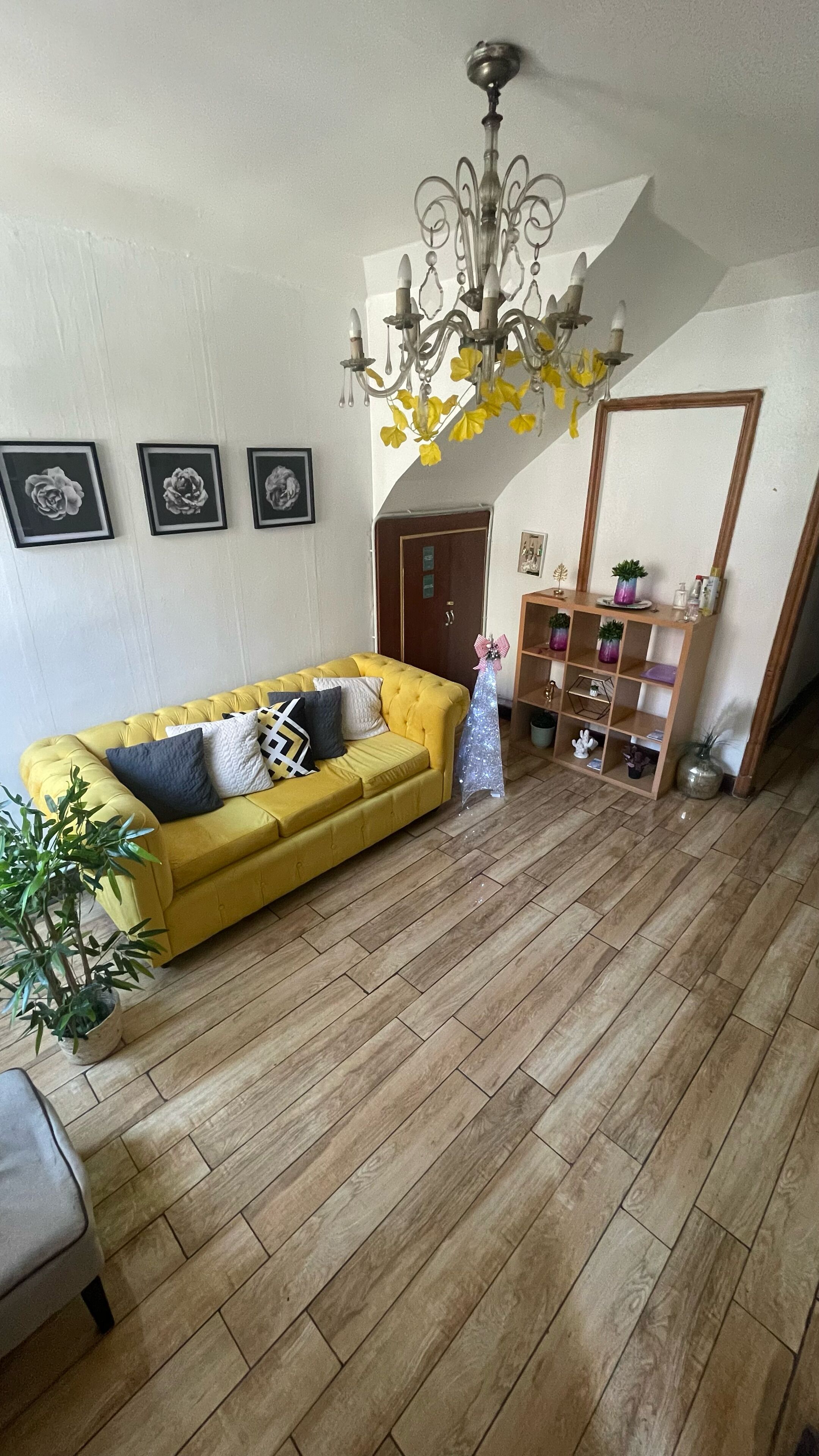 Foto - Floresta I, II, III y IV Bed and Breakfast