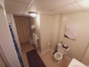 A bathroom with a toilet, a sink, and a shower area. - This Old House / Next to Sayers Lake (Howard)