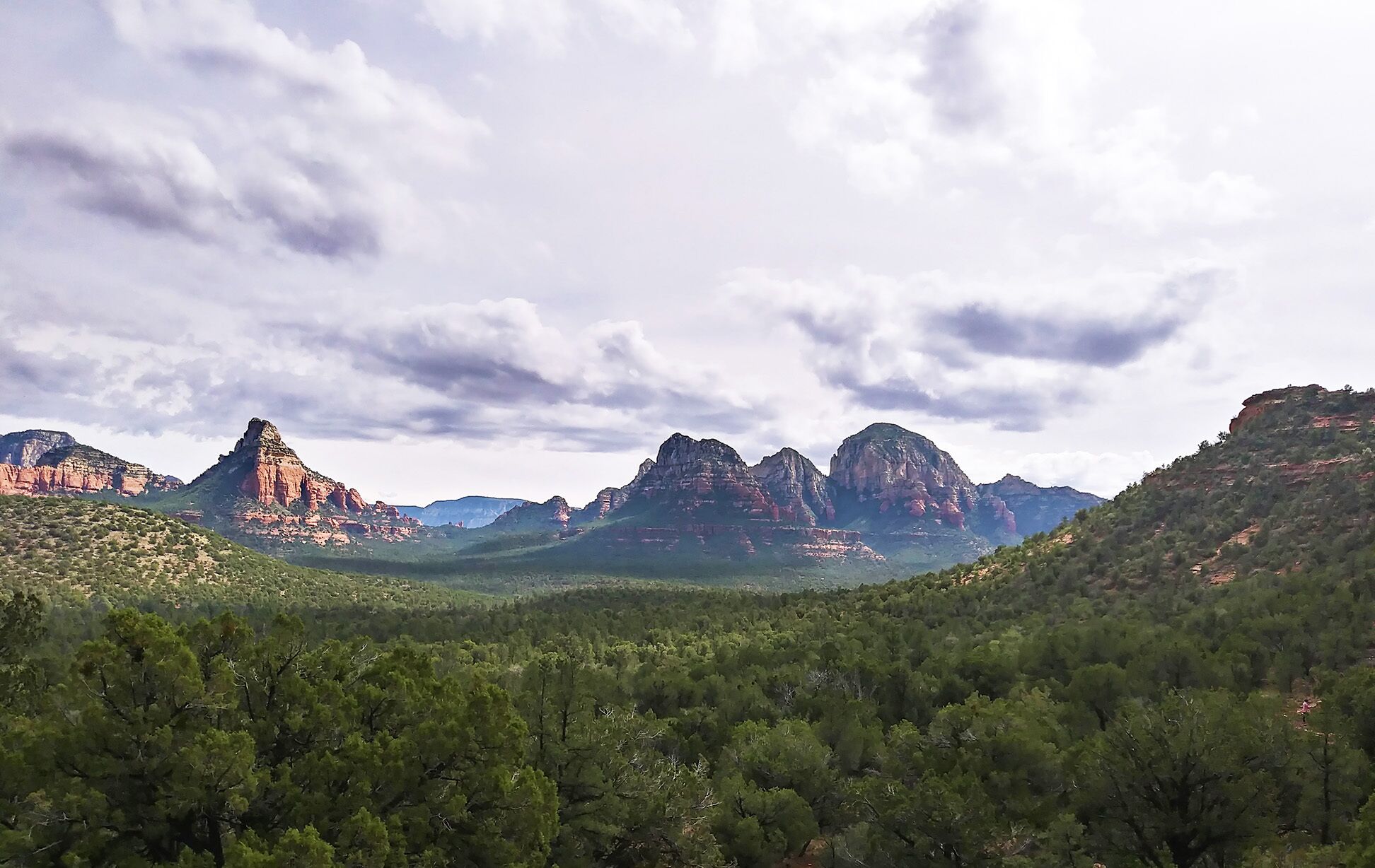 A mountainous landscape with dense forest in the foreground and rocky peaks in the background.