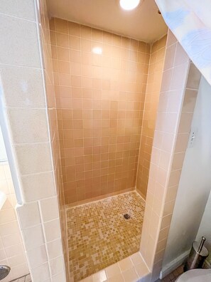 Shower, hair dryer, towels, soap - Poolside studio in the Foothills with Pool + Hot tub
(Tucson)