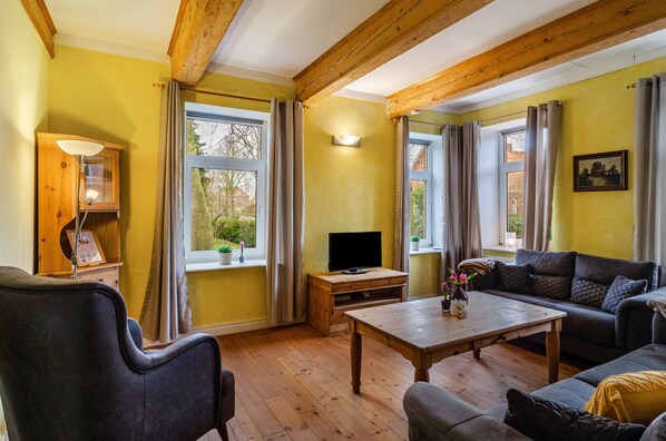 TV, fireplace, DVD player, stereo - Apartment 'Gulfhof Oldersum Erdgeschoss' with Shared Terrace, Shared Garden and Wi-Fi (Moormerland)